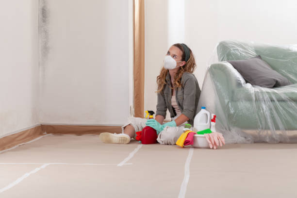 Reliable Mold Remediation contractor in Missouri City, TX by Cheap Mold Removal